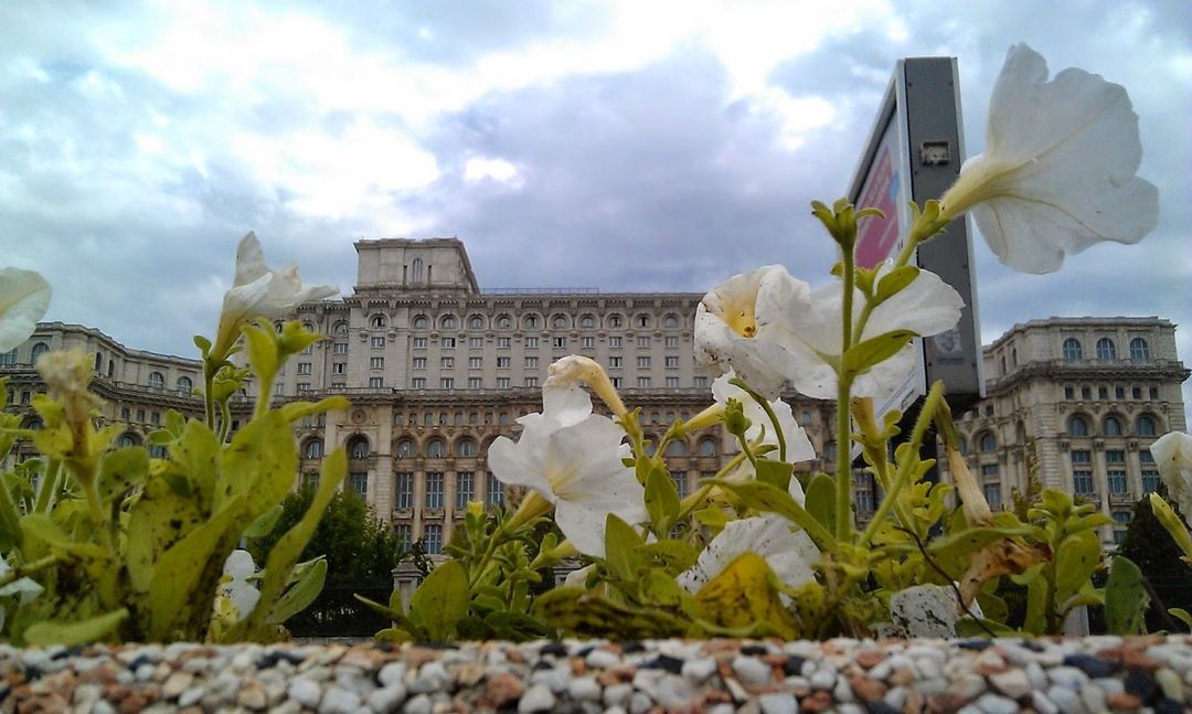 Anacronicități (RO, fără anestezie)