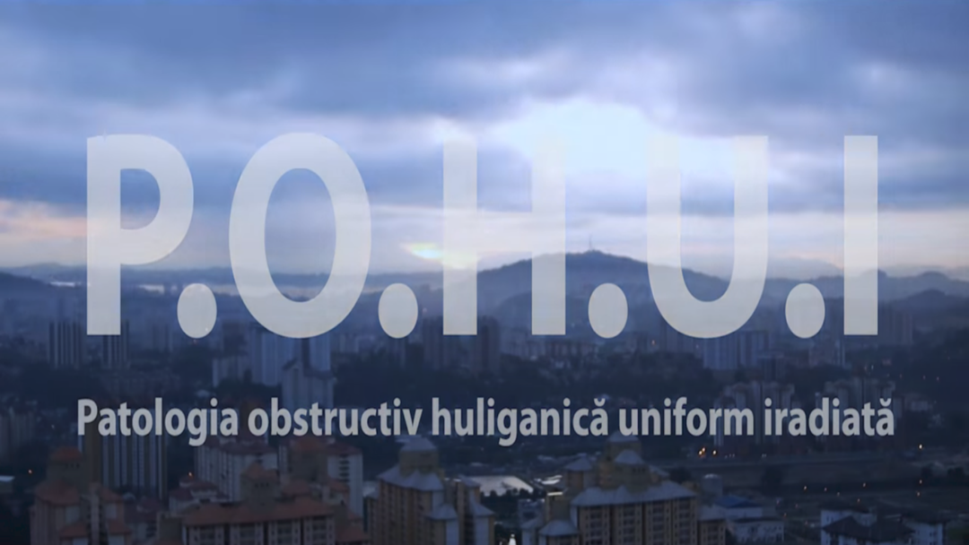 Legile electorale (RO, #POHUI)