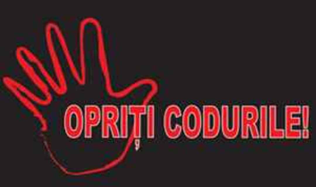 Can Europe accept Romania's Rule o'Flaw? (EN)