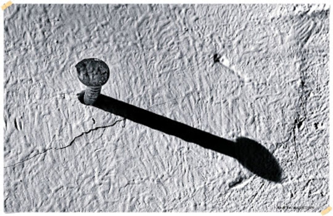 Referendumul lui Pepelea (RO)