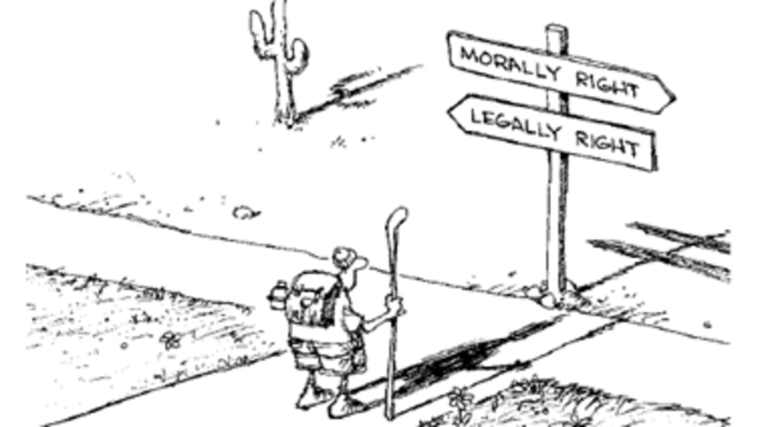 Ciudățenii de oengist (RO)