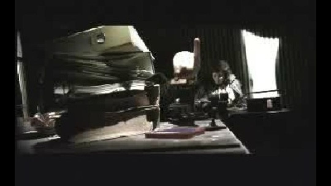 Activist şi/sau Expert (RO, sincron, lunguţ)