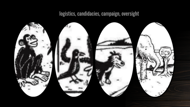 Timpul reformei (RO)